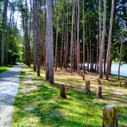 Twin Lakes Park - Lower Burrell