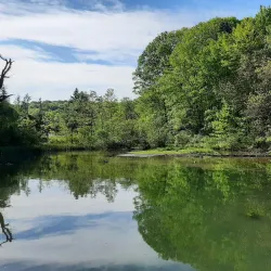 Twin Lakes Park - Lower Burrell