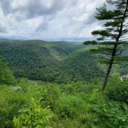 Leonard Harrison State Park - Mansfield