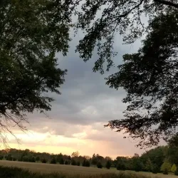 Mansfield Community Park - Mansfield