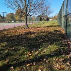 Mansfield Community Park - Mansfield