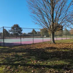 Mansfield Community Park - Mansfield