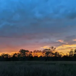 Mansfield Community Park - Mansfield