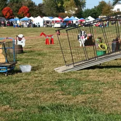 Mansfield Community Park - Mansfield