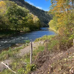 Pine Creek Rail Trail - Mansfield