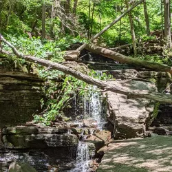 Pine Creek Rail Trail - Mansfield