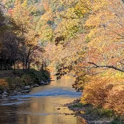 Pine Creek Rail Trail - Mansfield