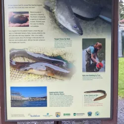 Pine Creek Rail Trail - Mansfield