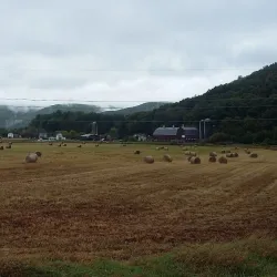 Tioga Central Railroad - Mansfield