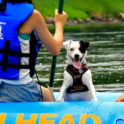 Delaware River Tubing - Matamoras