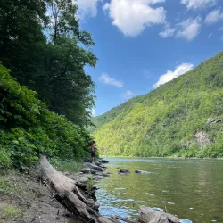 Delaware River - Matamoras