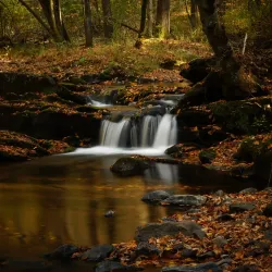Delaware Water Gap National Recreation Area - Matamoras