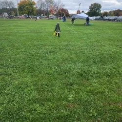 Matamoras Borough Park - Matamoras