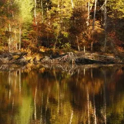 Pocono Environmental Education Center - Matamoras