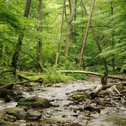 Pocono Environmental Education Center - Matamoras