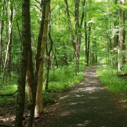 Pocono Environmental Education Center - Matamoras