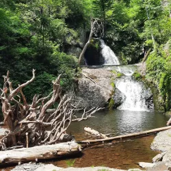 Pocono Environmental Education Center - Matamoras