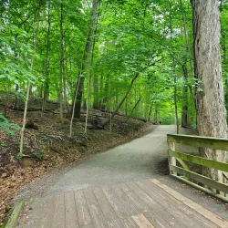 Frick Park - McKeesport