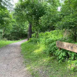 Frick Park - McKeesport