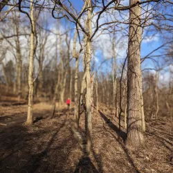 Frick Park - McKeesport