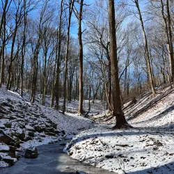 Frick Park - McKeesport