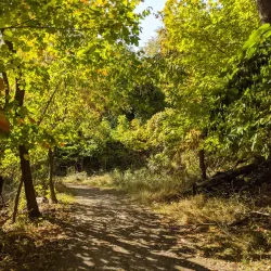 Frick Park - McKeesport