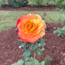 Renziehausen Park - McKeesport