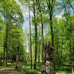 Cochran Memorial Park - Meadville