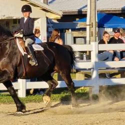 Crawford County Fairgrounds - Meadville