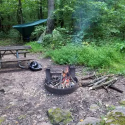 French Creek State Park - Meadville
