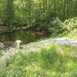 French Creek State Park - Meadville
