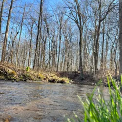 French Creek State Park - Meadville