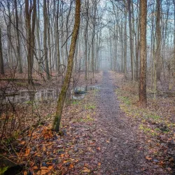 Woodcock Creek Lake and Park - Meadville