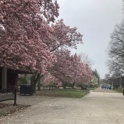 Harrisburg Area Community College - Cumberland Campus - Mechanicsburg