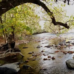 Yellow Breeches Creek - Mechanicsburg