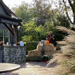 Chaddsford Winery Tasting Room - Media