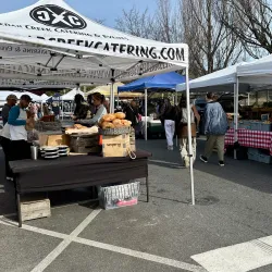 Media Farmers Market - Media