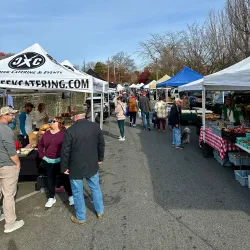 Media Farmers Market - Media
