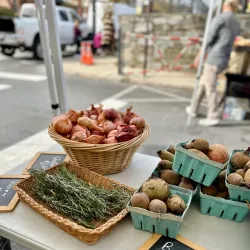 Media Farmers Market - Media