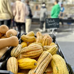 Media Farmers Market - Media