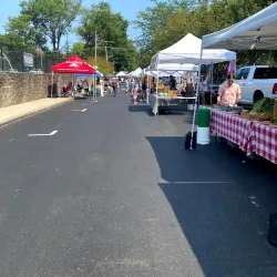 Media Farmers Market - Media