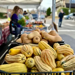 Media Farmers Market - Media