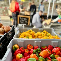 Media Farmers Market - Media