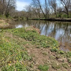 Media Memorial Park - Media