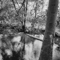 Media Memorial Park - Media