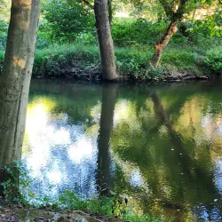 Media Memorial Park - Media