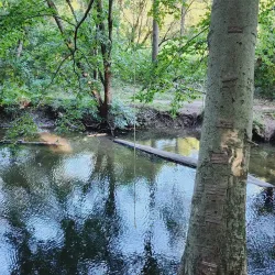 Media Memorial Park - Media