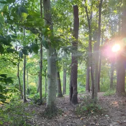 Media Memorial Park - Media