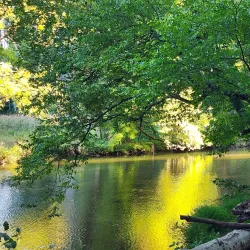 Media Memorial Park - Media
