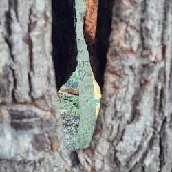 Media Memorial Park - Media